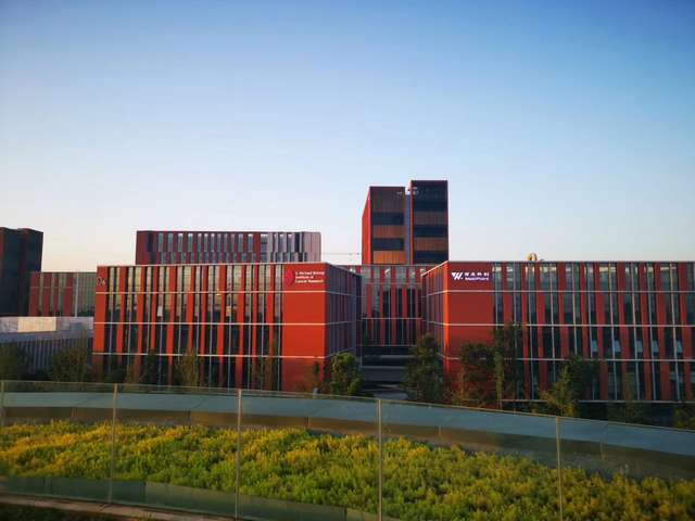 上海仿真绿植供应价格