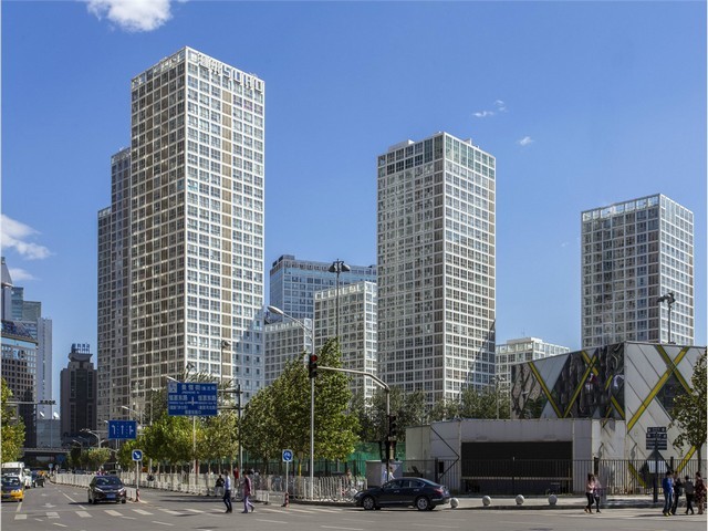 宜宾明星蓝莓苗批发多少钱